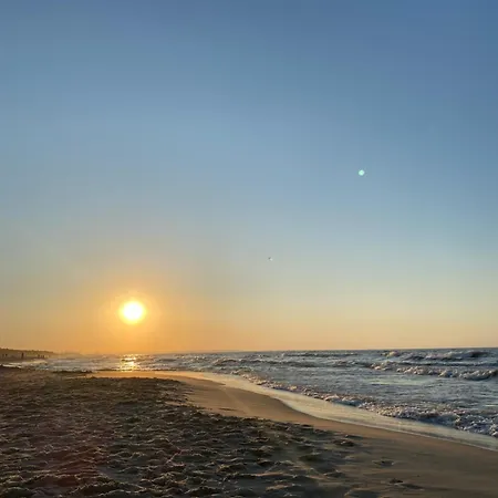 Baltic Porto - Porto 32 *