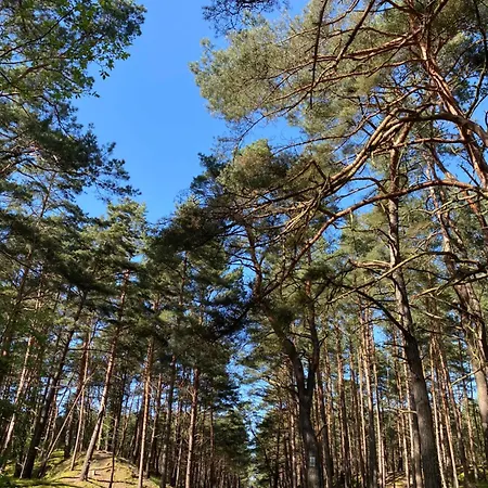 Baltic Porto - Porto 32 アパート グダニスク