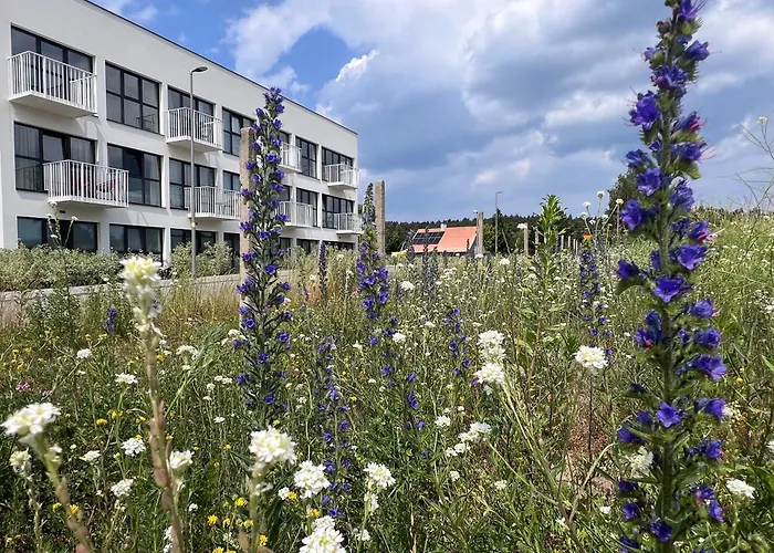 Daire Baltic Porto - Porto 32